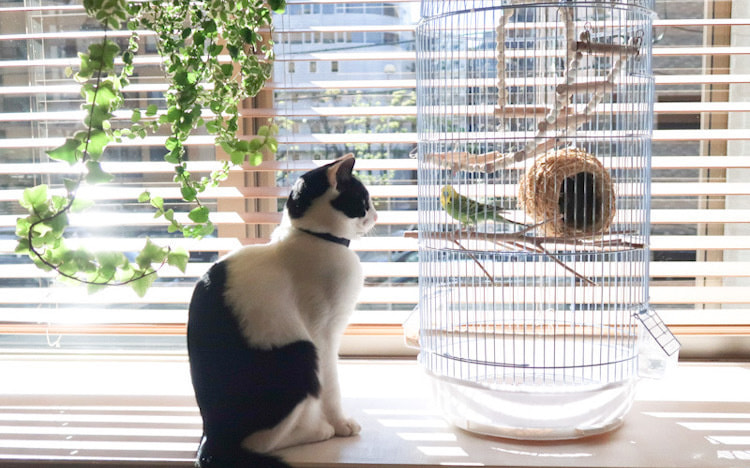 業者繋がりの心配なし